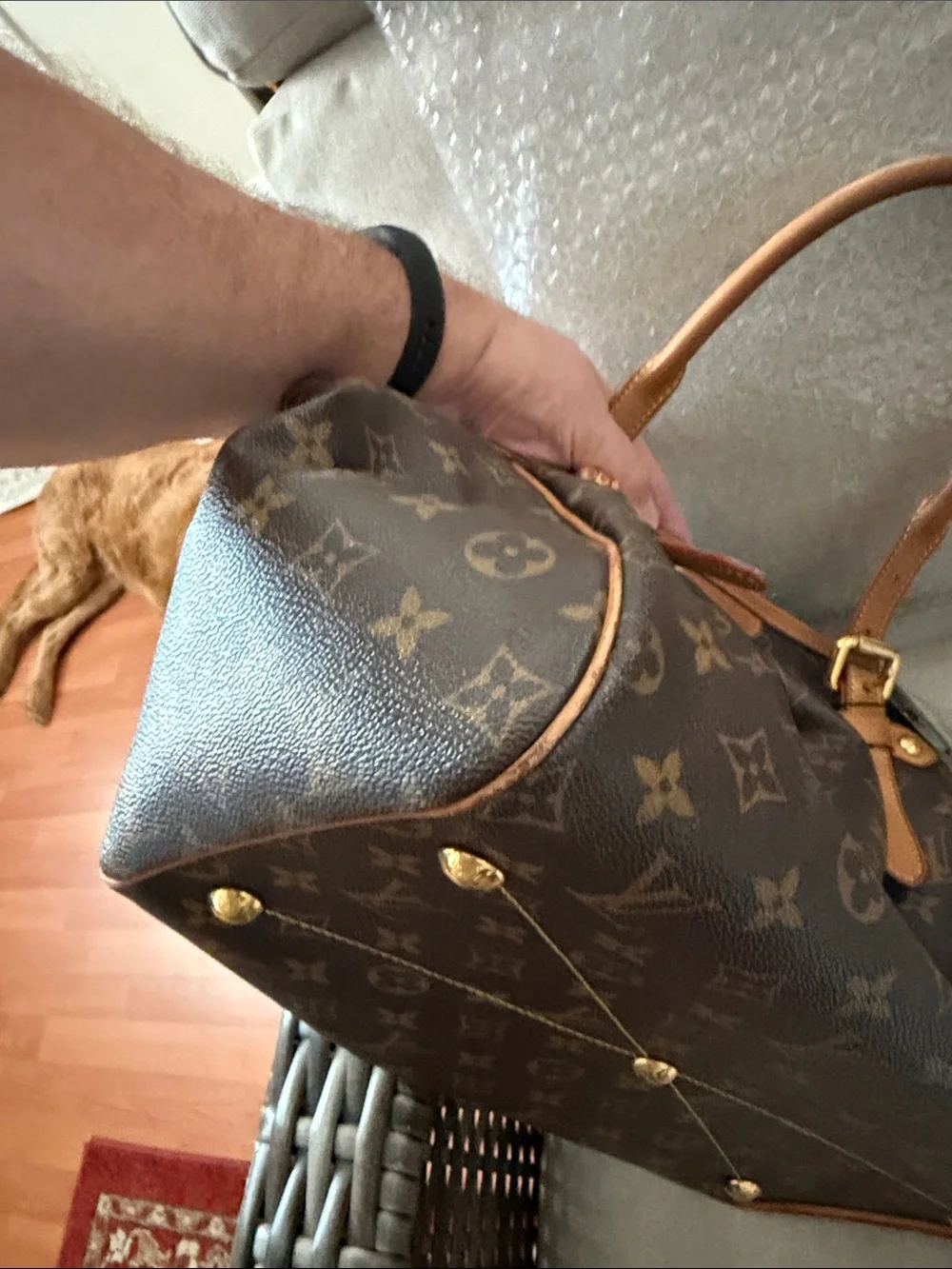 Louis Vuitton Monogram Canvas Brown & Tan Handbag